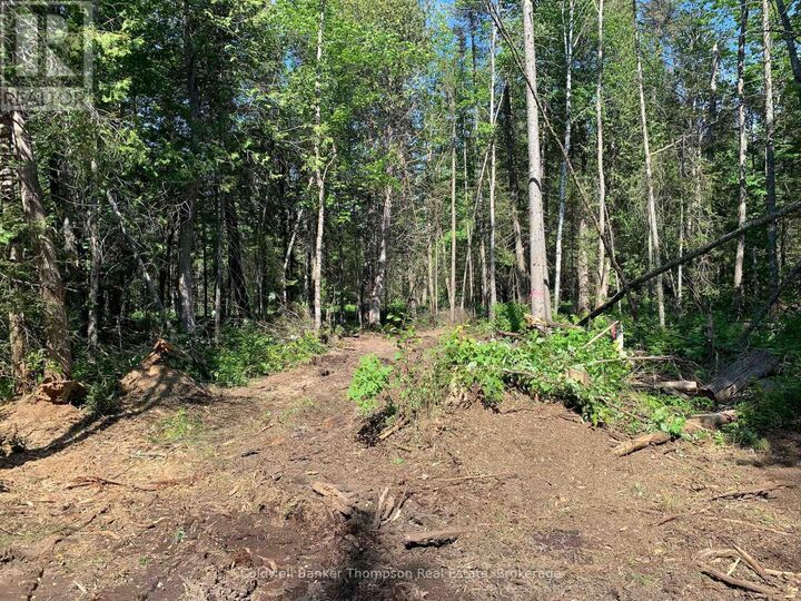 Property Photo:  522 Albert Street North  ON P0A 1Z0 