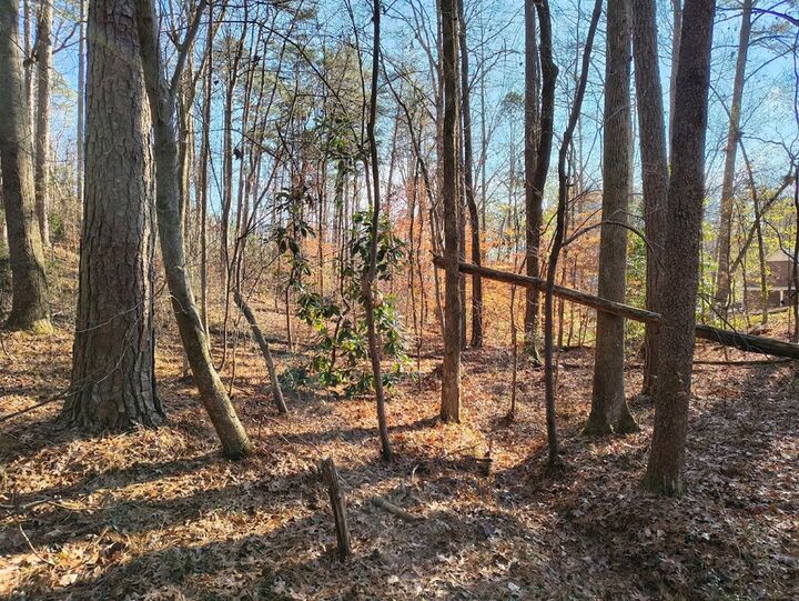 Property Photo: 000 Bishop Trail GA 30740