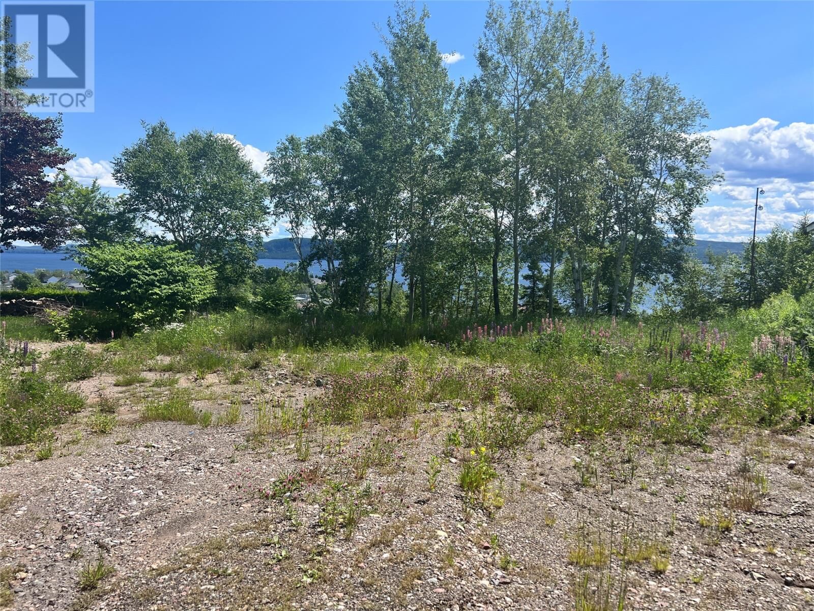 Property Photo:  36 Maple Street  NL A0J 1T0 