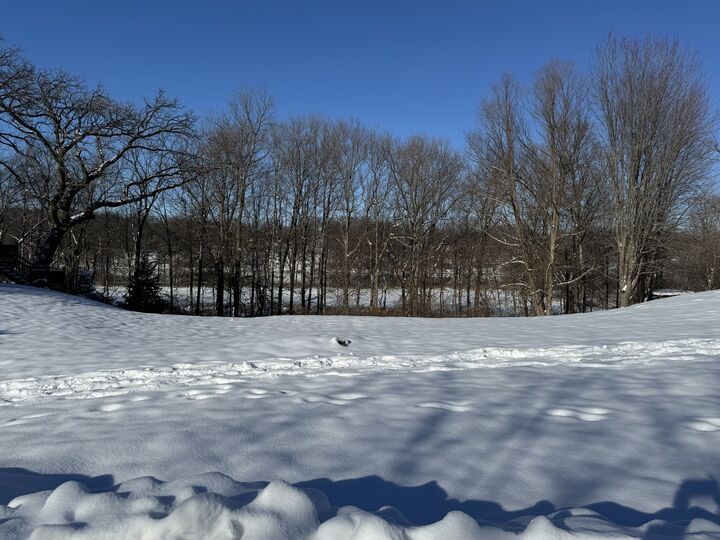 Property Photo:  207 Windham Circle  IL 60560 