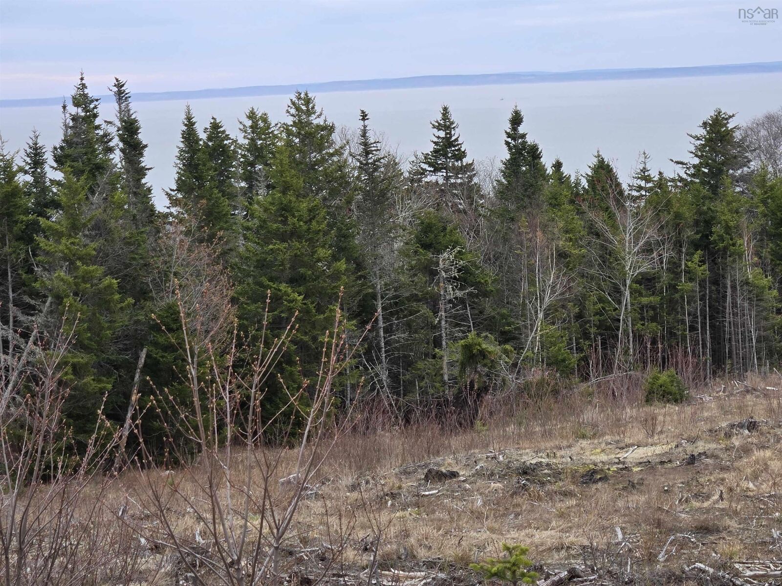 Property Photo:  210 Rockcliffe Drive  NS B0M 1S0 