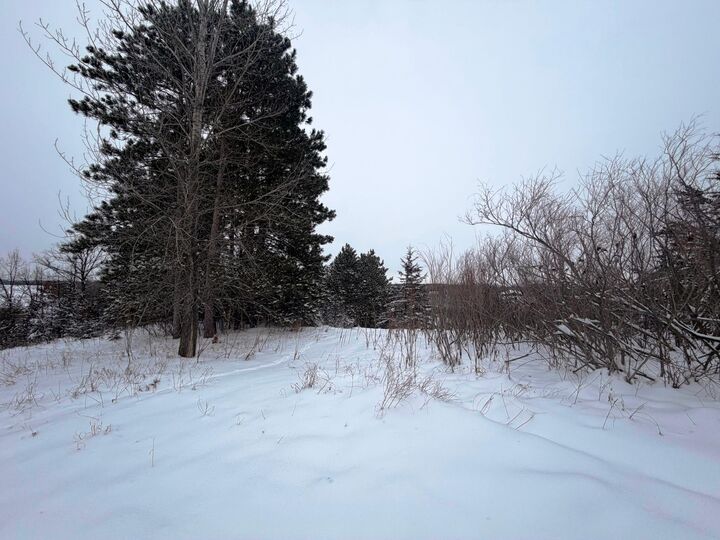 Property Photo: 1339 Birch Park Ridge WI 54082