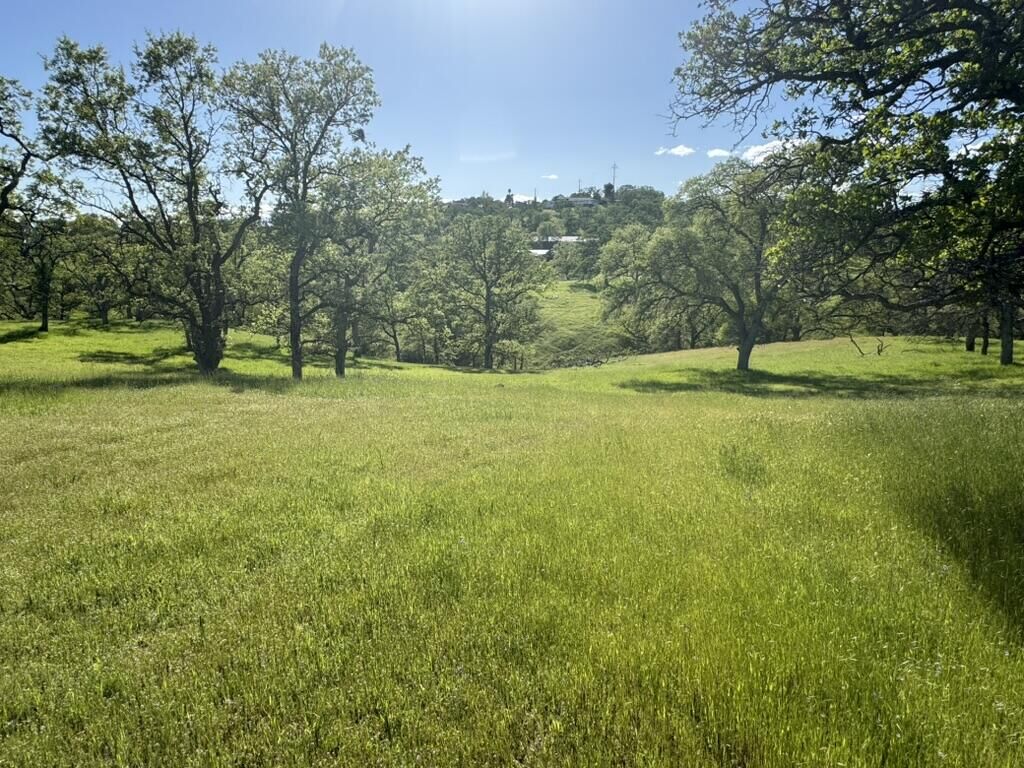 Property Photo:  22535 Rio Robles Drive  CA 96080 