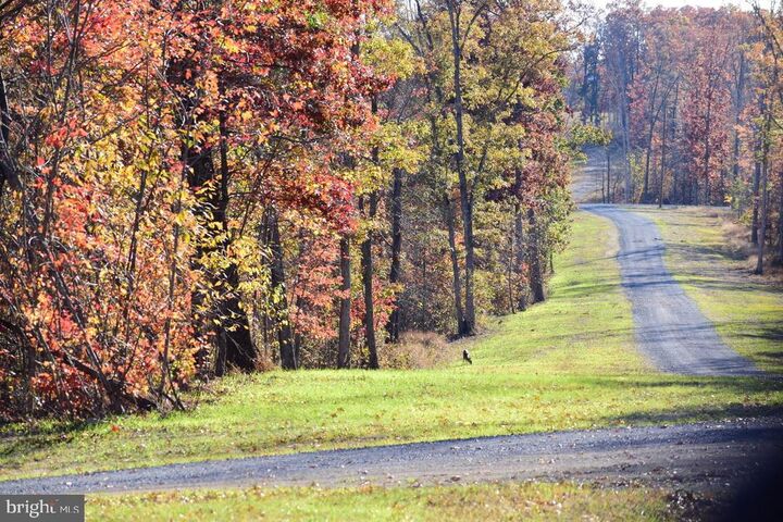 Property Photo: 152.44 Acres Lot 2 Laurel Grove Road VA 22602