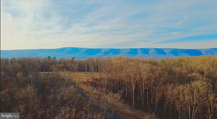 Property Photo:  152.44 Acres Lot 2 Laurel Grove Road  VA 22602 