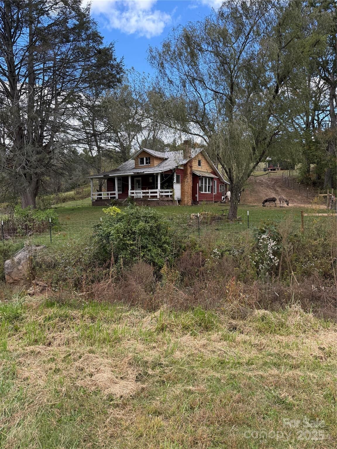 Property Photo:  49 Loggy Hollow Road  NC 28705 