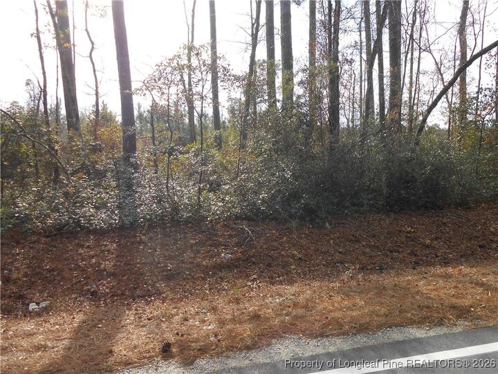 Property Photo:  Great Marsh Church Road  NC 28384 