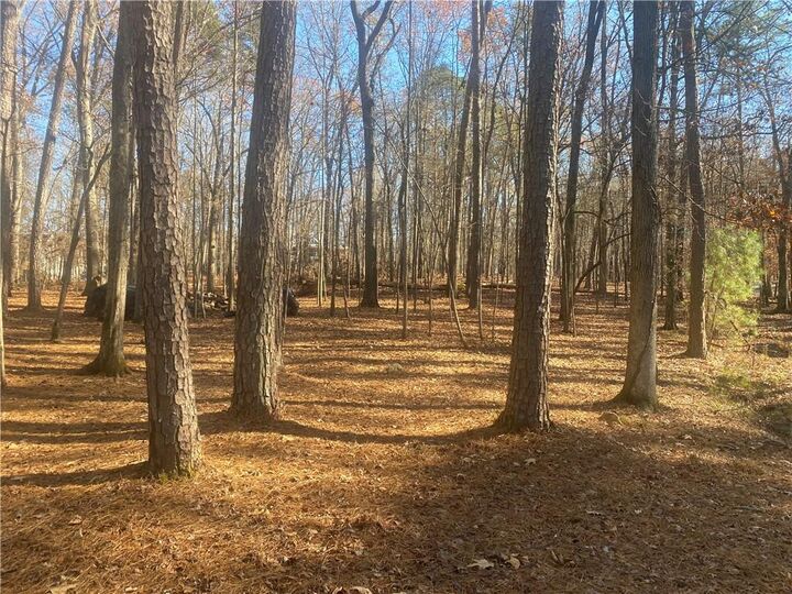 Property Photo:  3353 Galts Road  GA 30102 