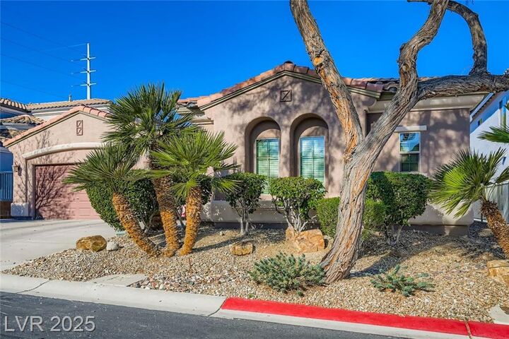 Property Photo: 10024 Scenic Walk Avenue NV 89149