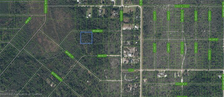 Property Photo:  819 Avocado Drive  FL 33852 