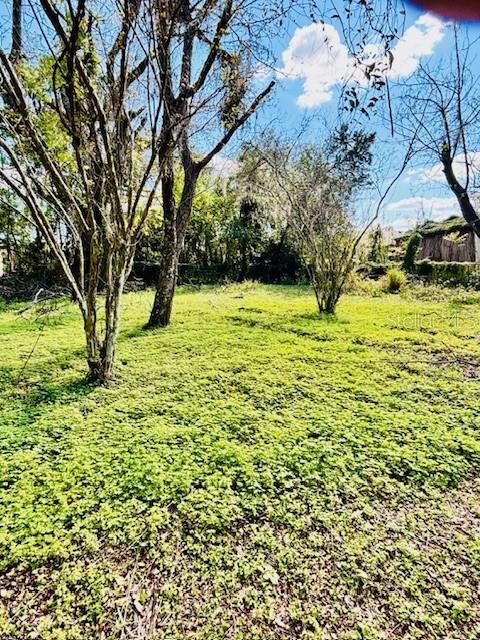 Property Photo: 35444 Darlene Drive FL 33541