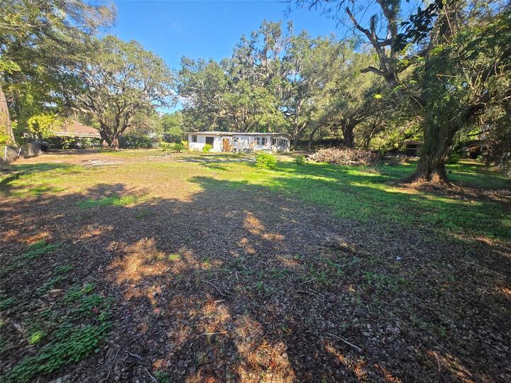 Property Photo:  35444 Darlene Drive  FL 33541 