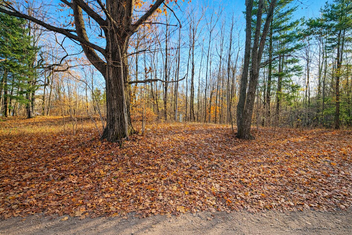 Property Photo: 8734 E 15 Mile Road MI 49338