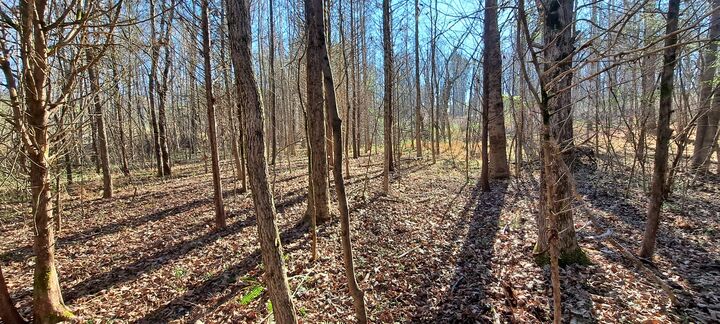 Property Photo:  0 NW Piney Road  TN 37055 