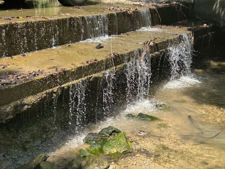 Property Photo:  11910 Fm 1660  TX 78634 