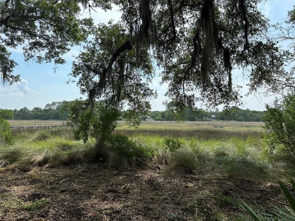 Property Photo:  Barnwell Road  FL 32034 