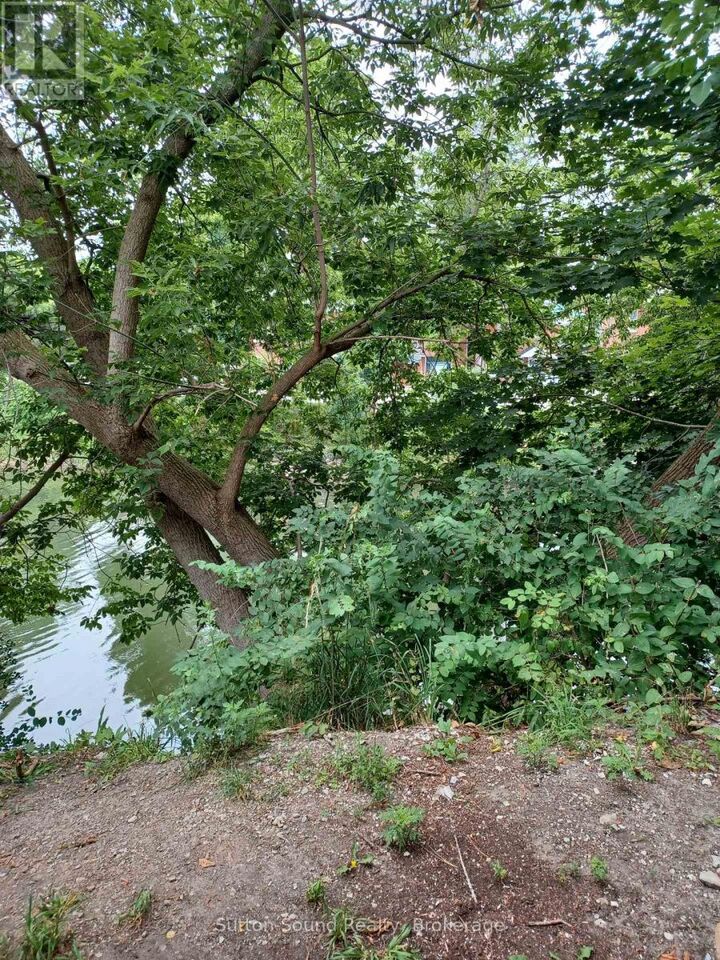 Property Photo:  X 1st Avenue East  ON N4K 2E1 