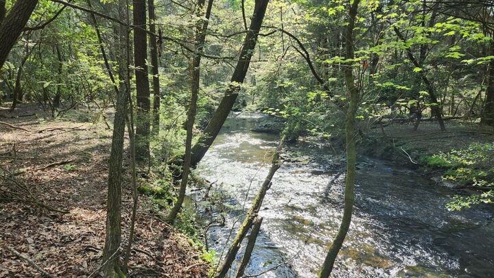 Property Photo:  Lots 1,2,3 Old Holywater Rd - E Of Scott Creek  TN 37387 