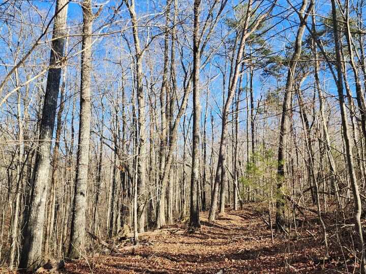 Property Photo:  Lot 35 Road 9050  AL 35984 