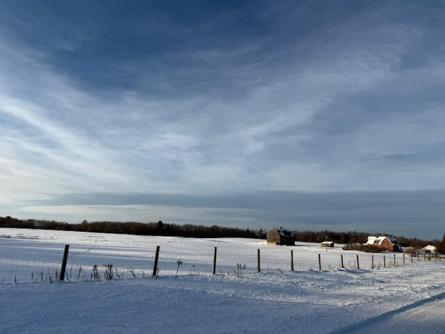 Property Photo: 11661 75th Avenue MI 49332