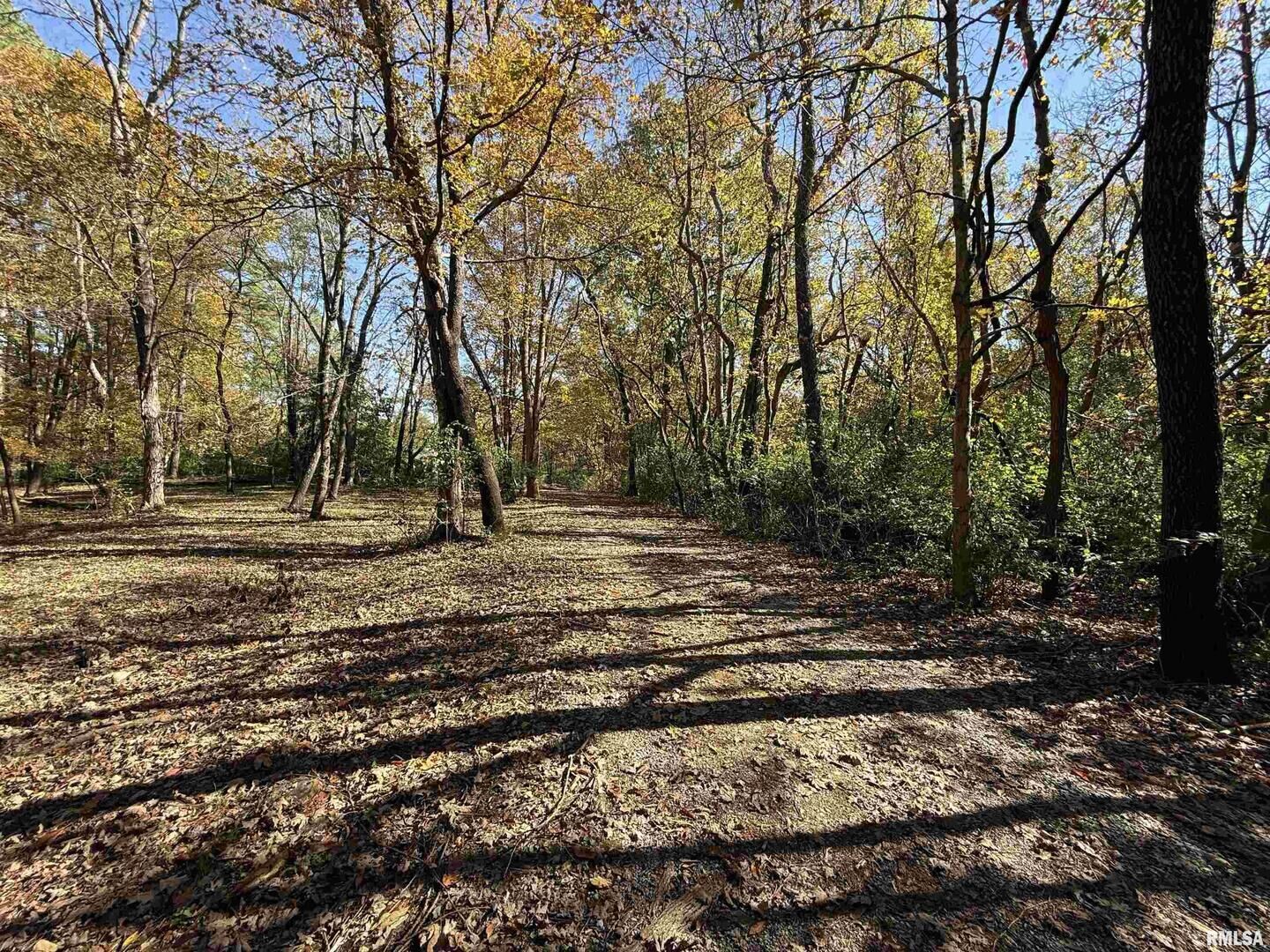 Property Photo: 449 Pine Lane IL 62966