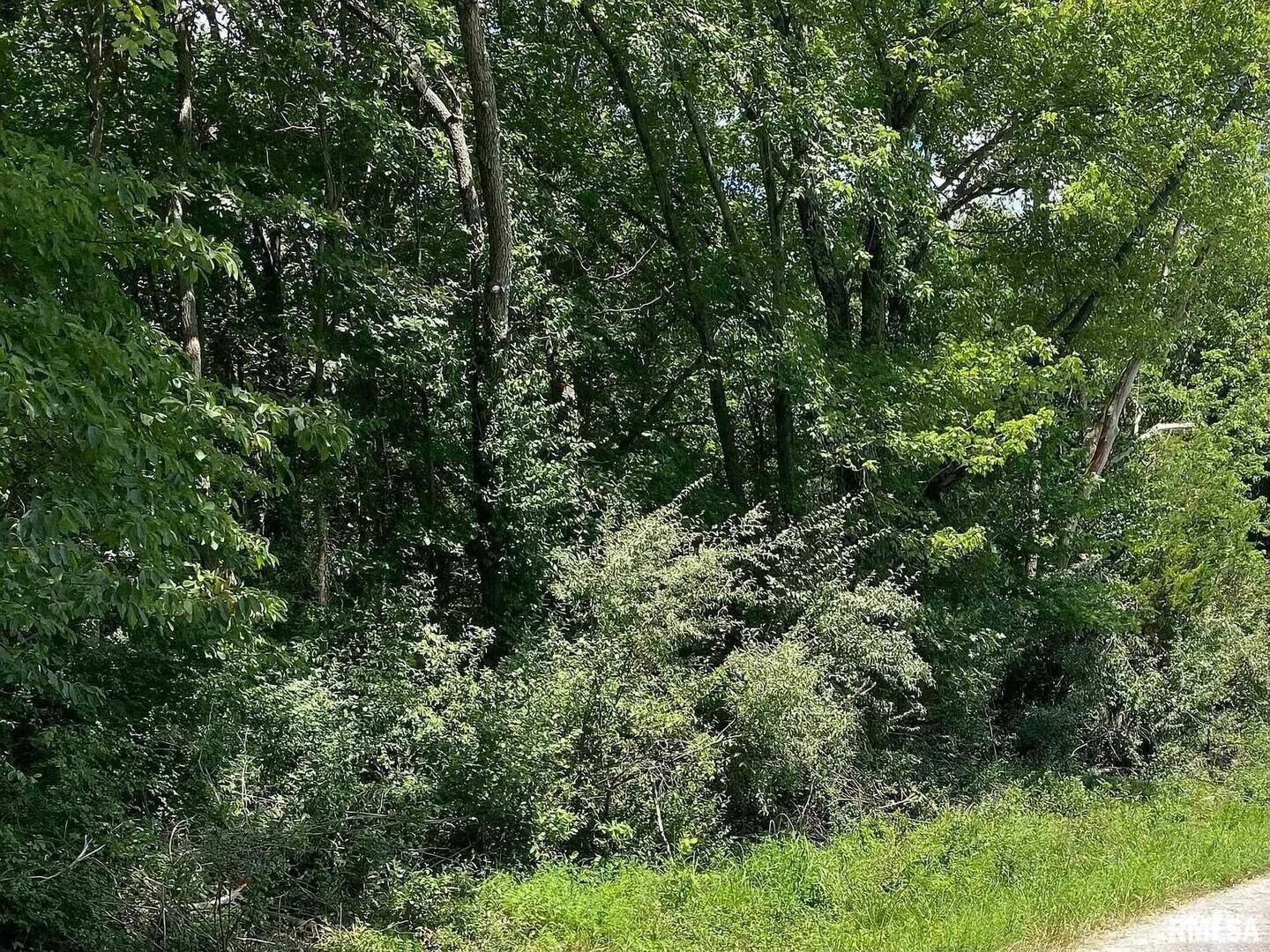 Property Photo:  0000 4th Street  IL 62814 