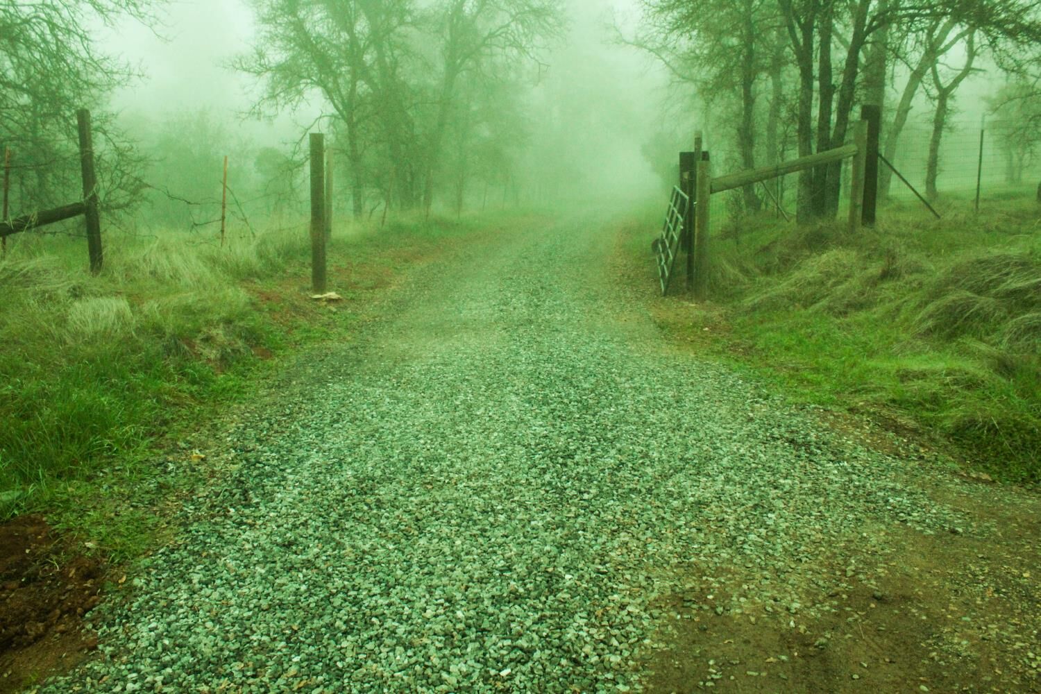 Property Photo:  2296 Azucena Court  CA 95329 