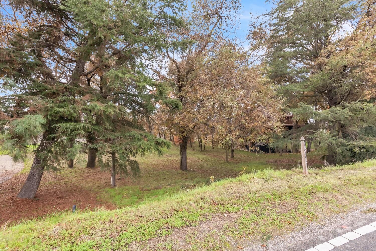Property Photo:  10113 Garden Highway  CA 95837 
