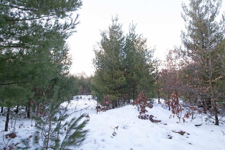 Property Photo:  Lot20 Timber Trail  WI 53588 