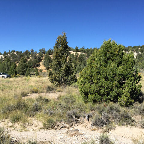 Property Photo:  Unknown  UT 84710 