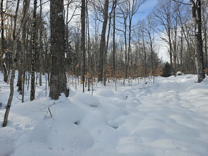 Property Photo: (Lot 4)490 Marshall Drive NY 12953