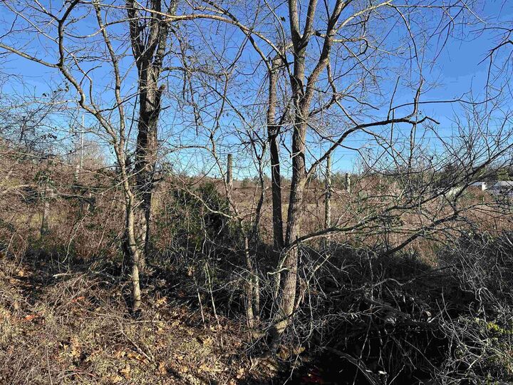 Property Photo:  1739 Cr 54  AR 72653 