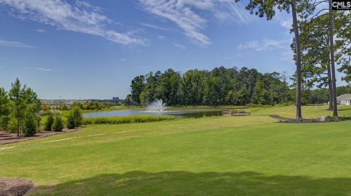 Property Photo:  166 Ruby Prince  SC 29054 