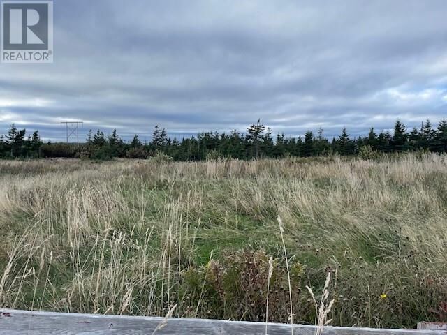 Property Photo:  Lot 4 McIsaac'S Lane  NL A0N 1T0 