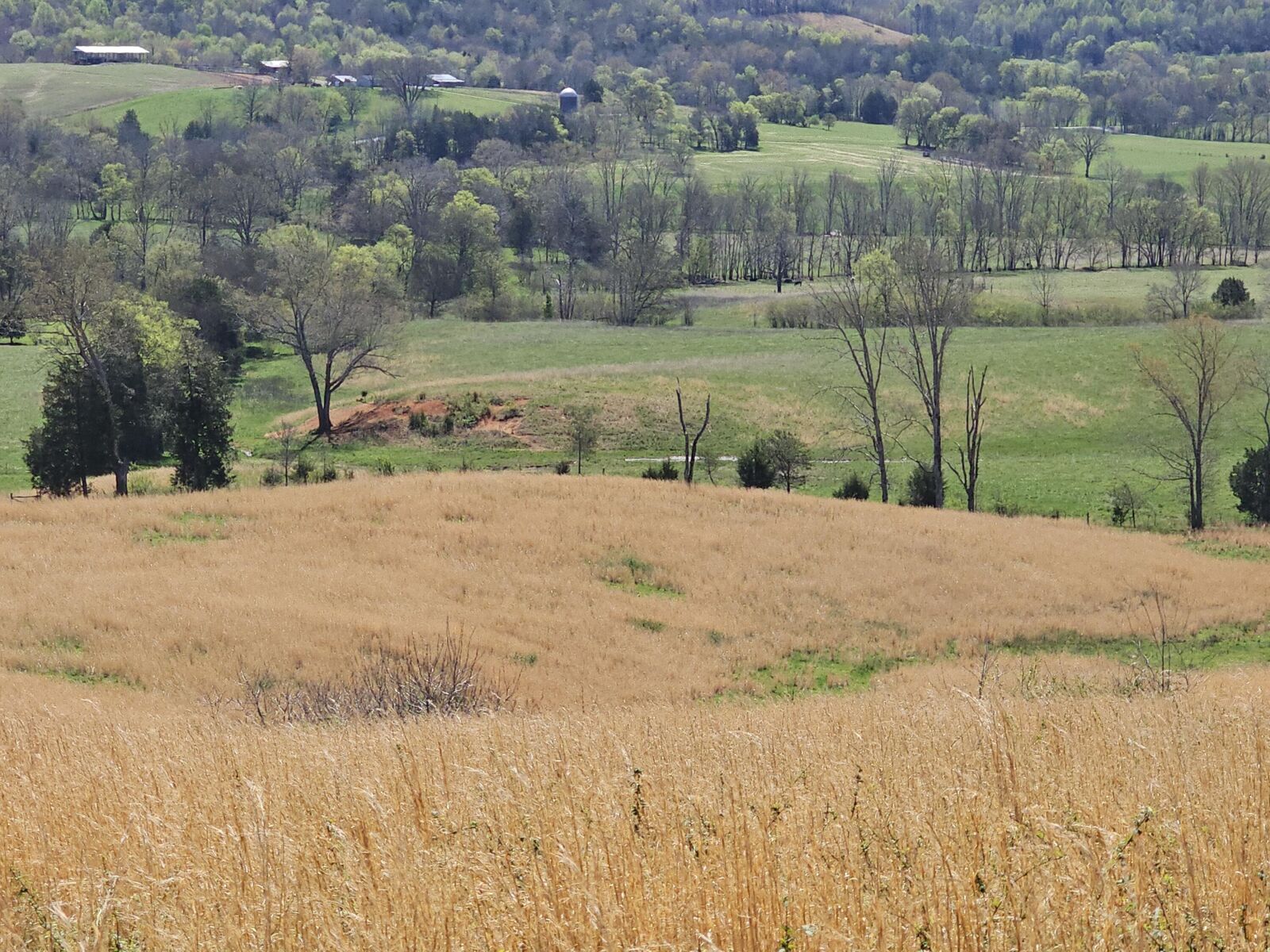 Property Photo: 495 Lower East Valley Road TN 37327