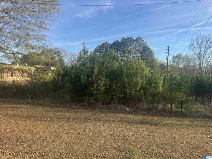 Property Photo:  0 Highway 78 0  AL 36203 