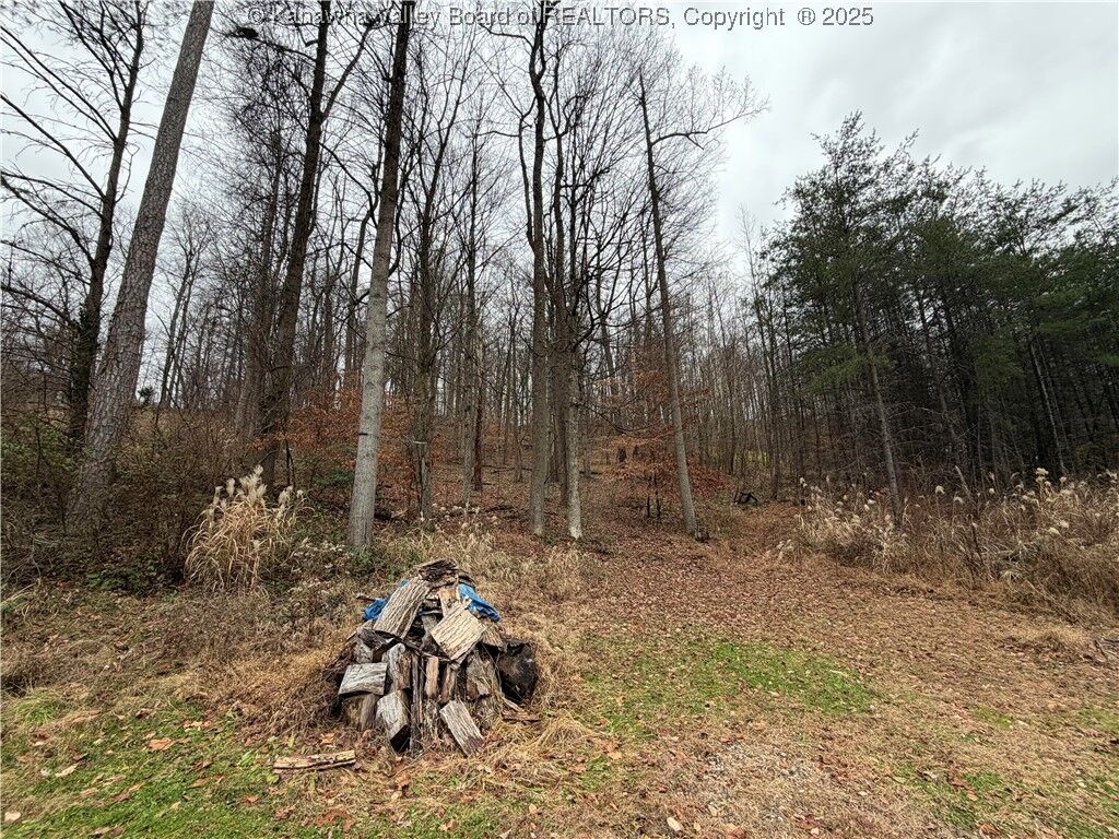 Property Photo:  25 Pinson Drive  WV 25213 