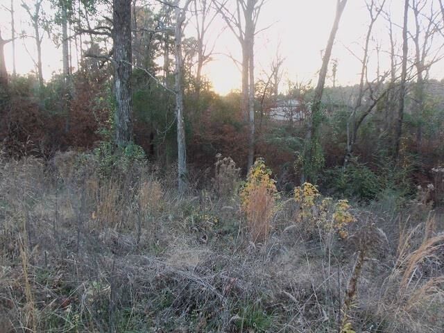 Property Photo:  Tbd Florey Lake Road  TX 75662 