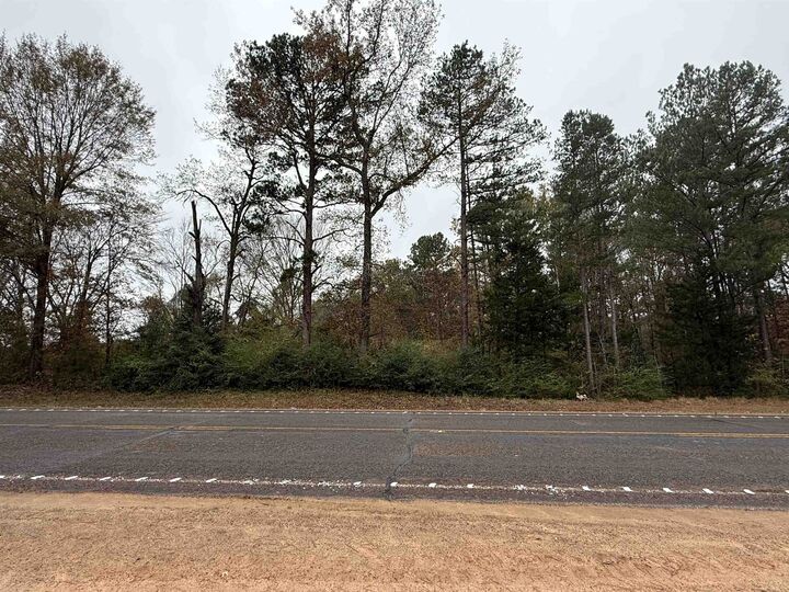 Property Photo:  Tbd Fm 2767  TX 75662 