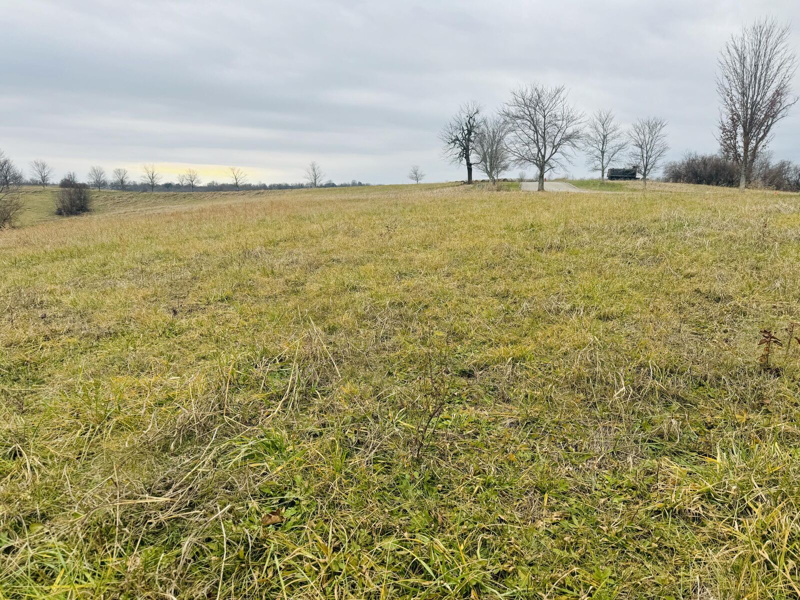 Property Photo:  8008 Filly Lane  KY 40475 