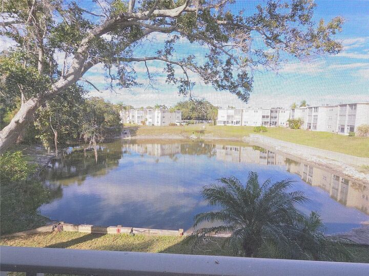 Property Photo:  960 Virginia Street 201  FL 34698 