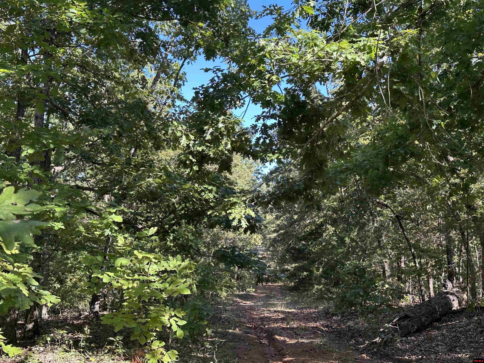 Property Photo:  1609 Old Strawberry Lane  AR 72512 