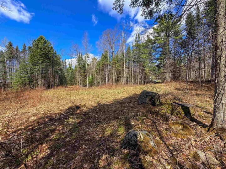 Property Photo:  40 Bear Paw Trail  NH 03561 