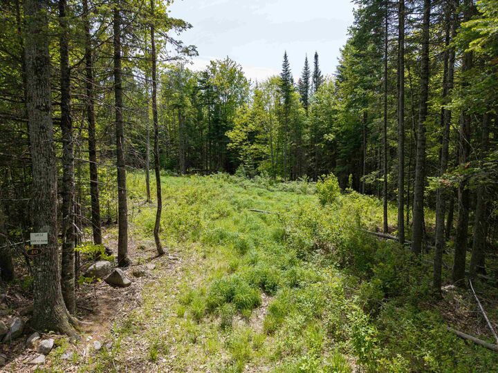 Property Photo:  40 Bear Paw Trail  NH 03561 