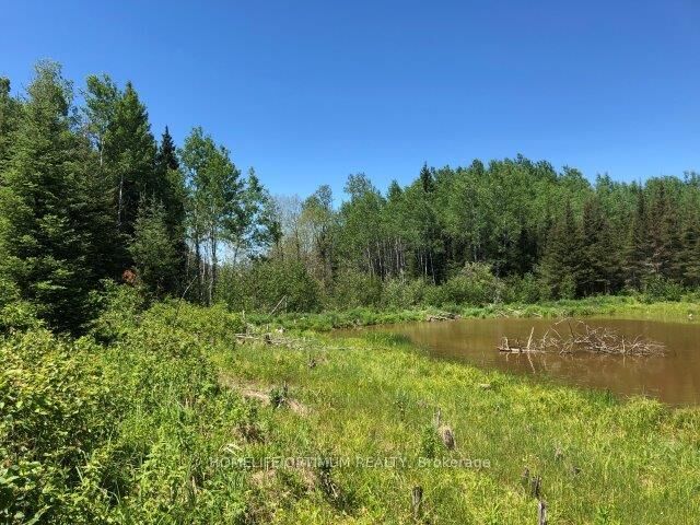 Property Photo:  38.24 Acres In Ogden Township - Pcl 24640 N/A  ON P4N 7C2 
