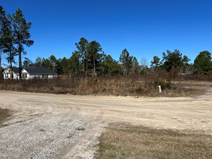 Property Photo:  19 Lois Place  GA 31641 
