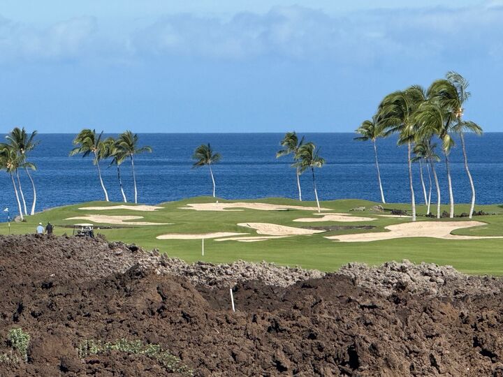 Property Photo:  68-1059 Honokaope Way  HI 96743 