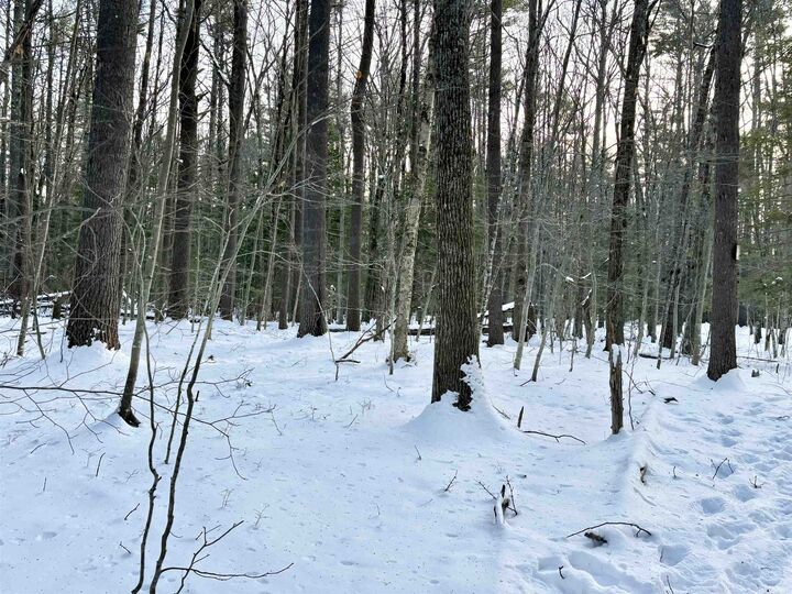 Property Photo:  Lot 80-1 Currier Road  NH 03034 
