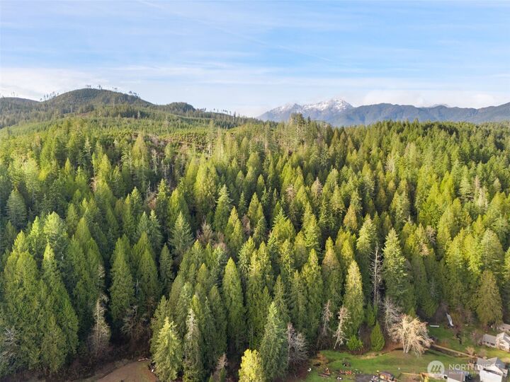 Property Photo:  1 Xx N Lilliwaup Street  WA 98555 