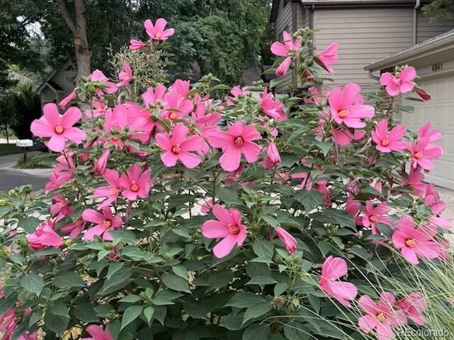 Property Photo:  4945 Tesla Circle  CO 80301 